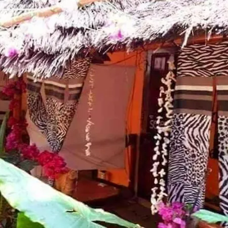 Sipano Beach Lodge Kiwengwa Exterior photo