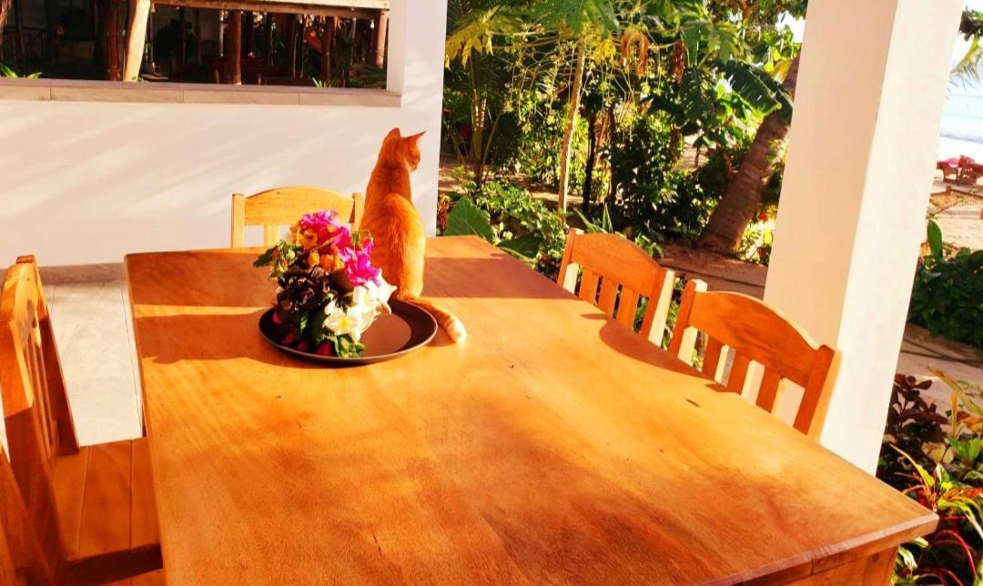 Sipano Bed & Breakfast