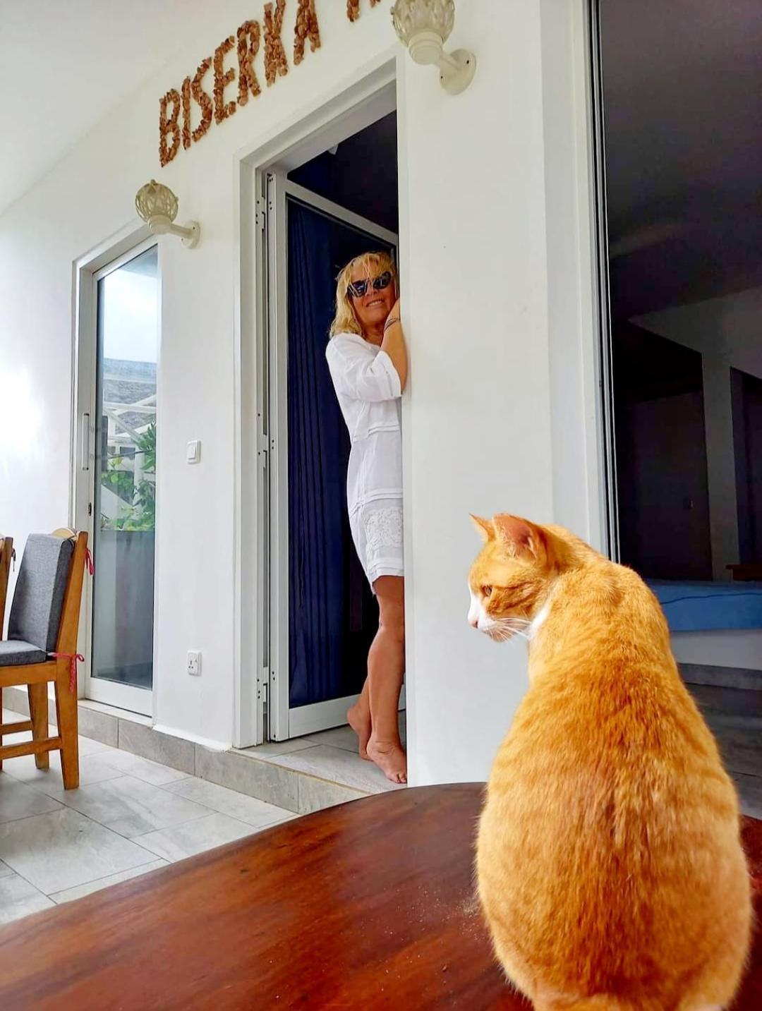 Sipano Bed & Breakfast *