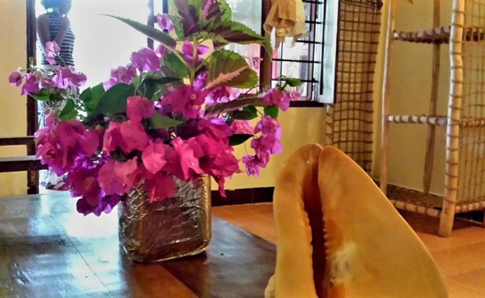Sipano Bed & Breakfast