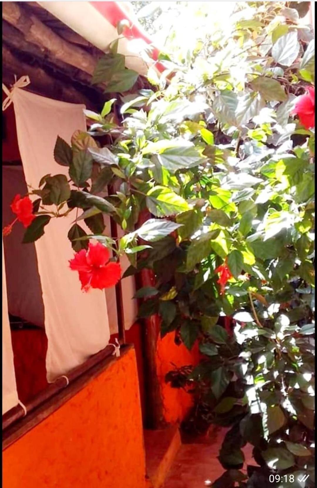 Sipano B&B